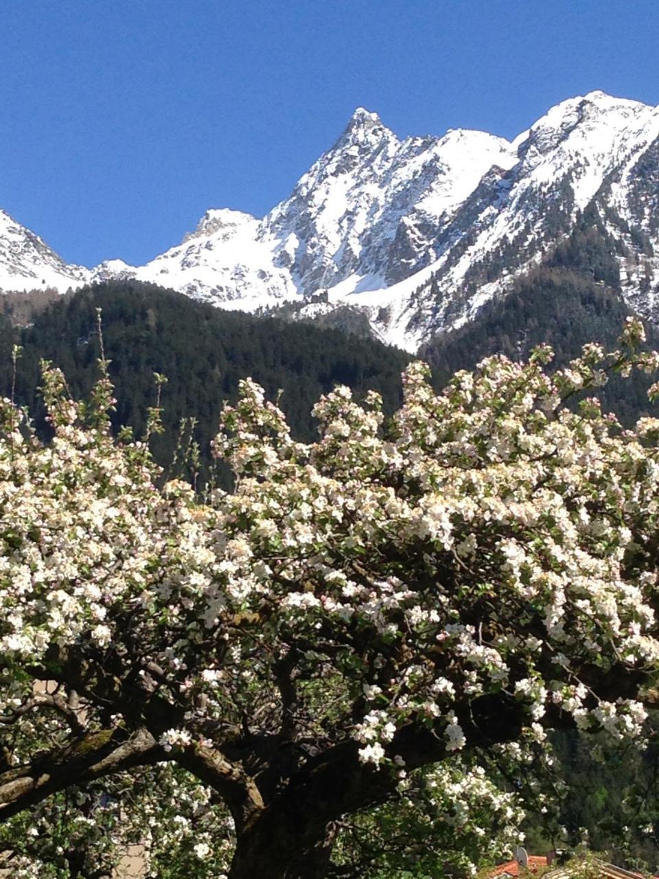 Gasthof Zum Stern Oetz Esterno foto